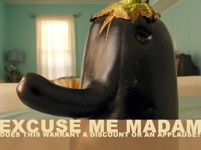 081410-excuseMeMadam Words Follow Images - Excuse Me