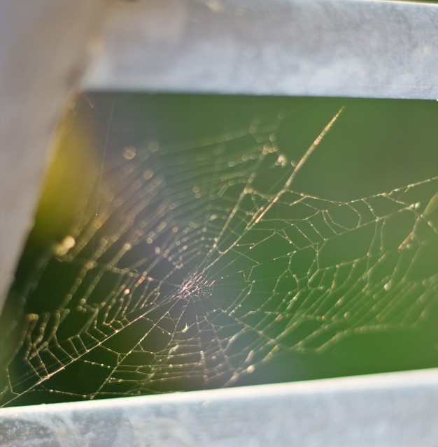 spider web glass crack
