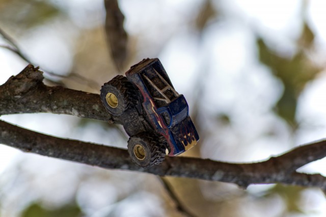 truck on a tree