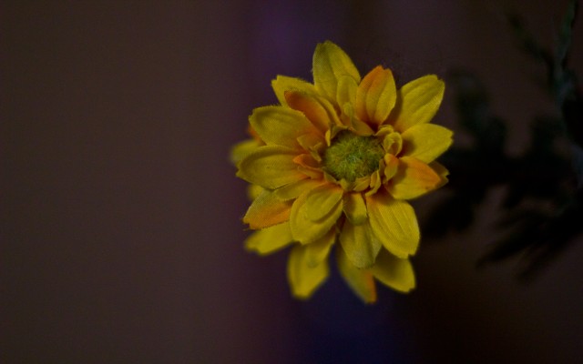 yellow fake flower
