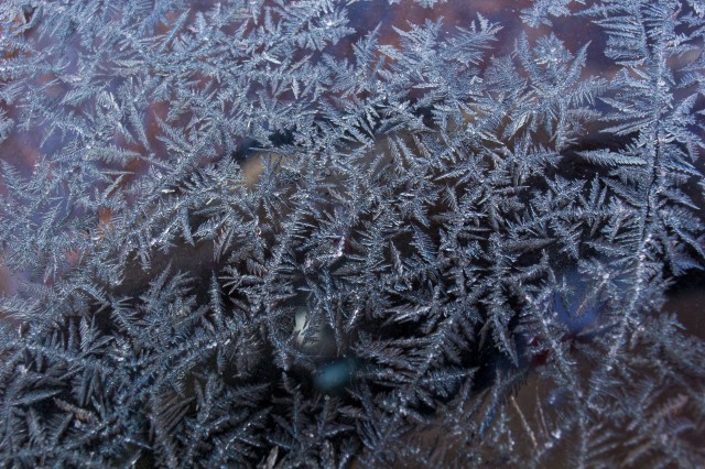 frost crystals