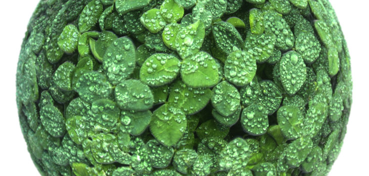 clovers with dew texture preview