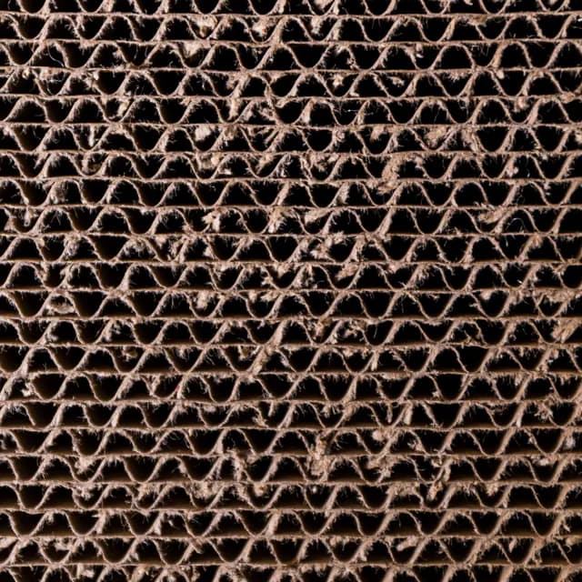 Pattern Project archive photograph.