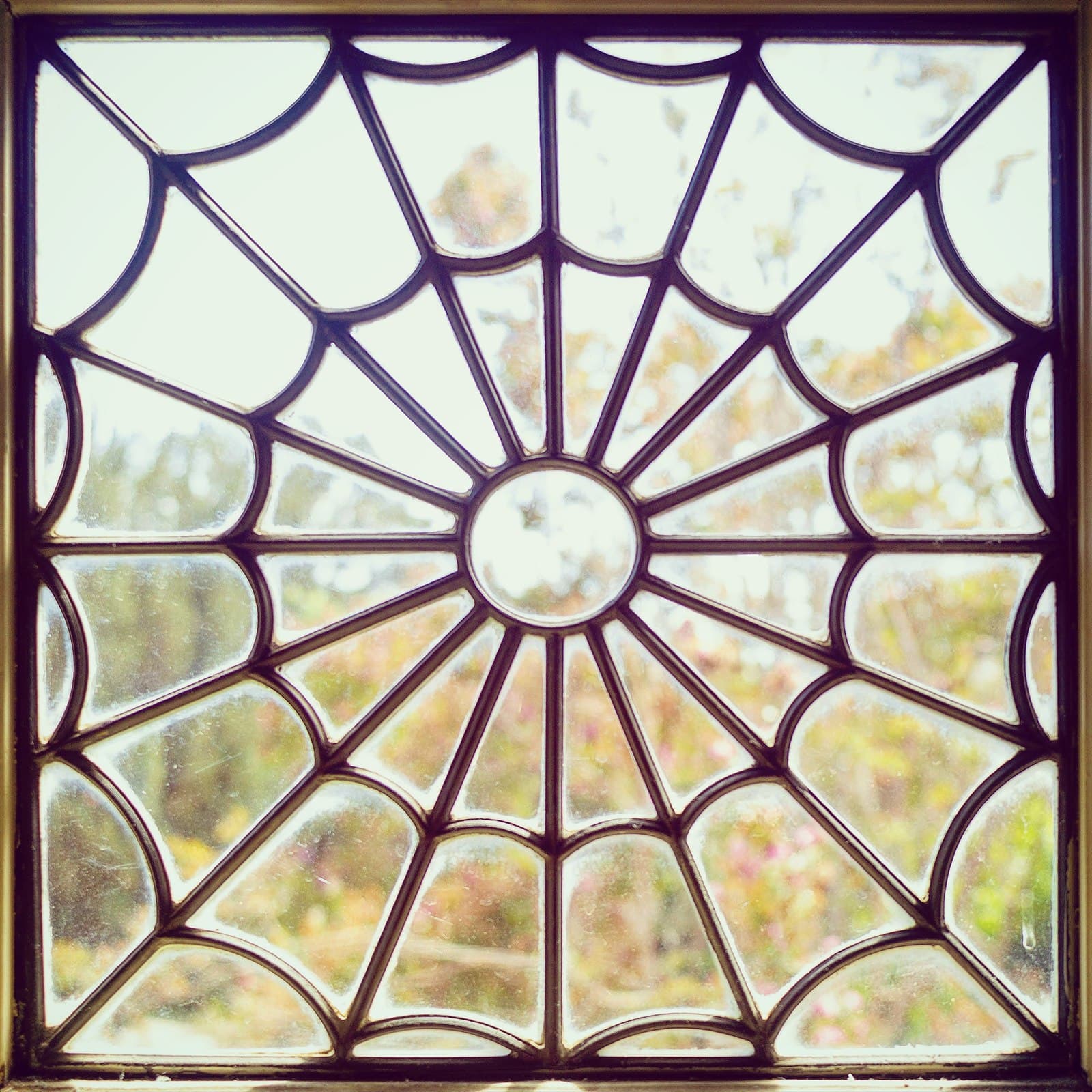 Pattern photograph captured October 5, 2018.